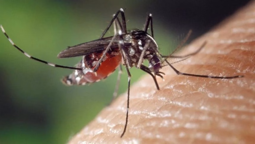 Hidalgo registra 18 nuevos casos de dengue en tres semanas