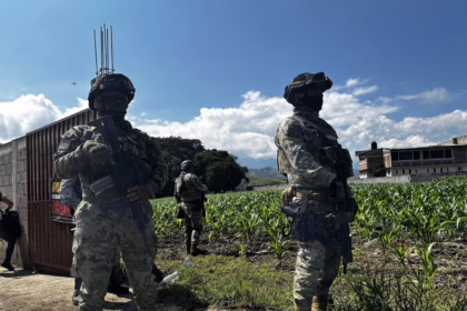 Incautan pollo en Edomex, habitantes esperan distribución por parte de La Familia Michoacana