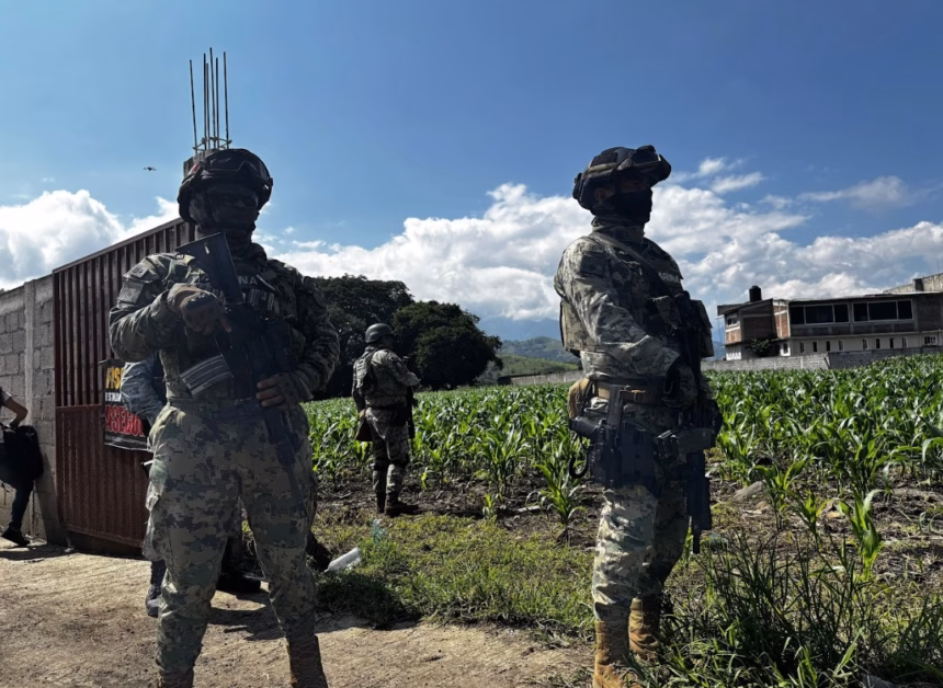 Incautan pollo en Edomex, habitantes esperan distribución por parte de La Familia Michoacana