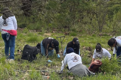 Hallan cinco cuerpos en fosa clandestina en Tonalá, Jalisco