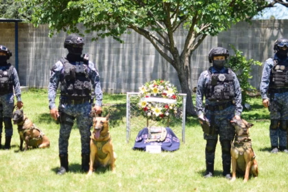 Rinden homenaje a Chato, perro policía que sirvió 10 años en Irapuato