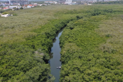 Estero El Salado celebra 25 años como Área Natural Protegida en Puerto Vallarta