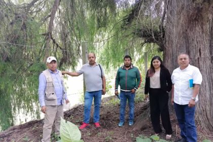 Acciones ambientales en Ixcateopan fortalecidas por el gobierno de Guerrero
