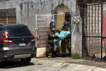 Abejas atacan a varias personas en Villas del Roble