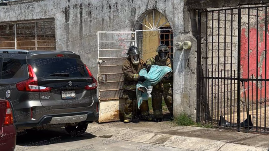 Abejas atacan a varias personas en Villas del Roble