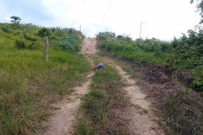 Ataque a balazos en Ometepec deja una mujer muerta y un hombre ileso
