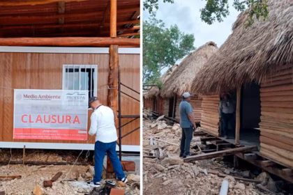 Profepa clausura construcciones ilegales en el Estero de Chac, Chetumal