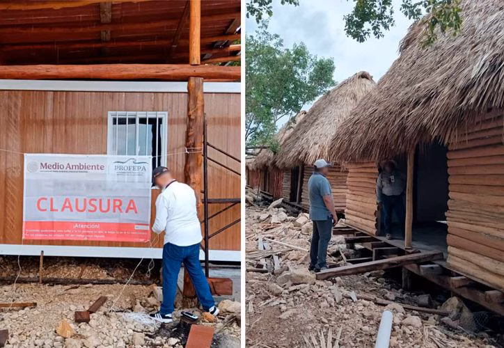 Profepa clausura construcciones ilegales en el Estero de Chac, Chetumal