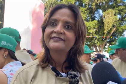 Riesgos de remedios caseros contra el dengue en Nayarit