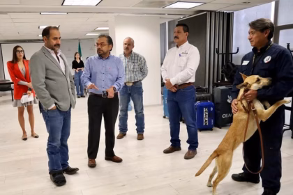 Jalisco refuerza detección del gusano barrenador con binomios caninos