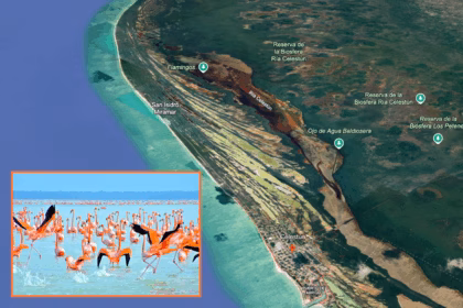 Sedatu inicia medición y deslinde en playa de Celestún, Yucatán