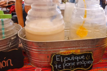 Pulquefest 2025 en Ciudad de México: música, gastronomía y cultura