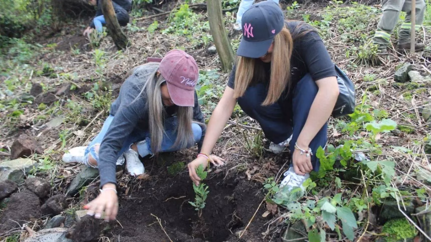 Programa de reforestación en suelos de conservación en La Magdalena Contreras