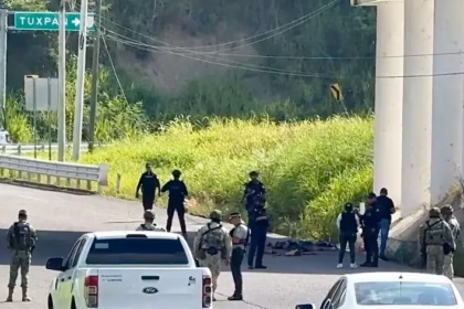 Fiscalía de Veracruz investiga hallazgo de restos humanos en Papantla