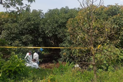 Localizan fosa clandestina en Tepic y procesan restos forense