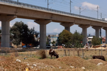 Tren Insurgente en Edomex: Transformación Urbana y Económica