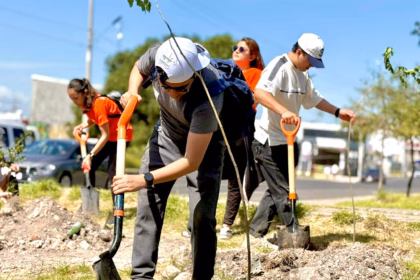 Querétaro reforesta Avenida de la Luz con 700 árboles