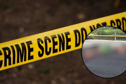 Hallan cuerpos desmembrados en carretera de Veracruz vinculados con crimen organizado