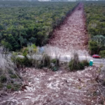 La caída de la agenda ambiental en México y su impacto global