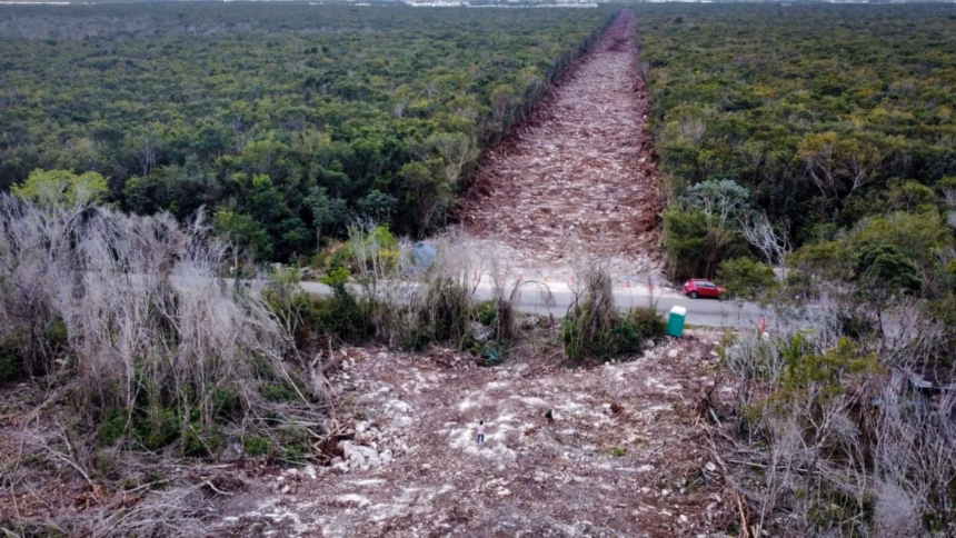La caída de la agenda ambiental en México y su impacto global