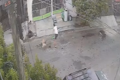 Denuncian ataques de perro agresivo en Escobedo