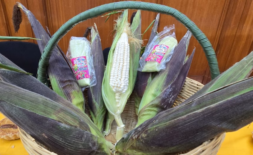Feria del Elote 2025 en Cocotitlán celebra 40 años con más de 300 productos de maíz