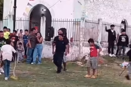 Profepa investiga maltrato animal en Campeche durante festividades religiosas