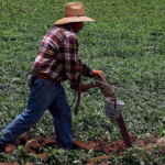 Trabajadora despida por denunciar acoso en Jerez, Zacatecas
