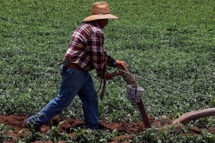Trabajadora despida por denunciar acoso en Jerez, Zacatecas