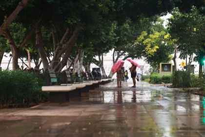 Crecimiento Urbano en Mérida Genera Alertas por Impactos Sociales y Ambientales