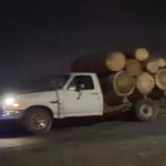 Tala ilegal en Ocuilan devasta bosques y amenaza comunidad tlahuica