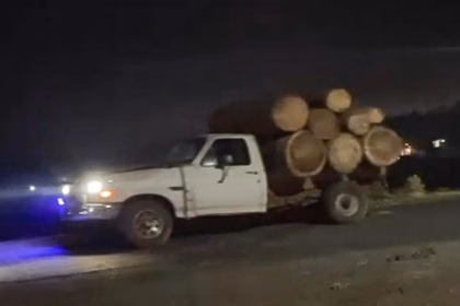 Tala ilegal en Ocuilan devasta bosques y amenaza comunidad tlahuica