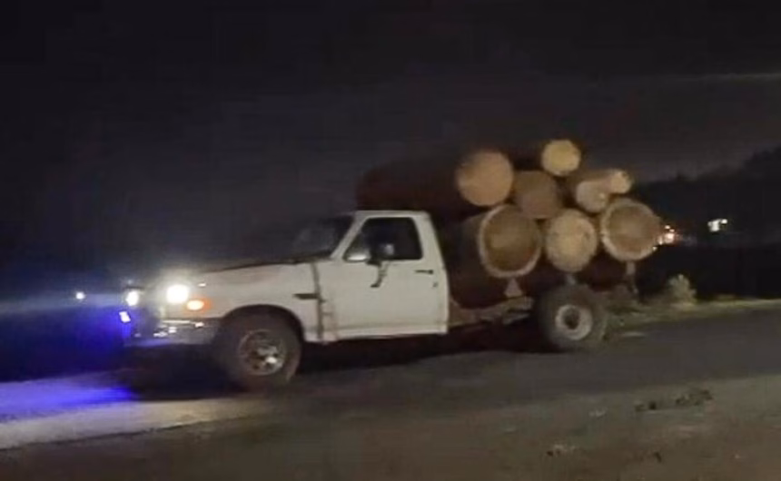Tala ilegal en Ocuilan devasta bosques y amenaza comunidad tlahuica