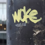 Wokismo y falsa conciencia: el rostro del capitalismo tardío