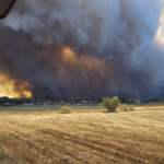 Incendio forestal en Francia arrasa con superficie mayor a París y deja un muerto
