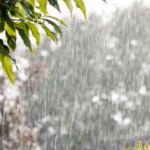 Pronóstico: Lluvias regresarán a Nuevo León la próxima semana