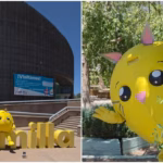 Invitan al Festival Gatitos en el Museo Semilla en Chihuahua