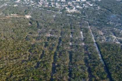 Venta ilegal de tierras nacionales en Playa del Carmen supera las 400 hectáreas