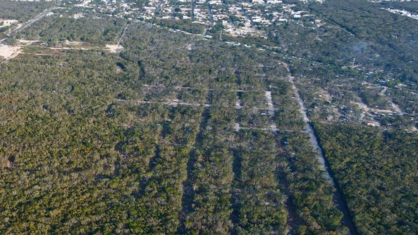 Venta ilegal de tierras nacionales en Playa del Carmen supera las 400 hectáreas