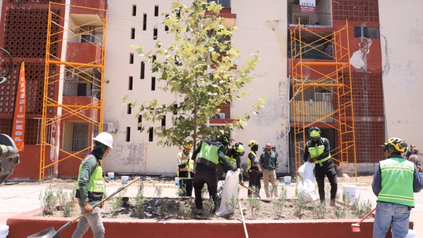 Inicia remodelación de Condominios Constitución en Nuevo León